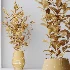 AV Indoor Plants Set 454 Chemlali Olive Tree and Bird Of ParadiseBird and Ficus microcarpa and Ficus Dracaena Marginata - Thumbnail 8