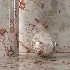 Tile Floor Marble Material 01 - Thumbnail 1