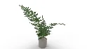 Faux Plants - Thumbnail 6