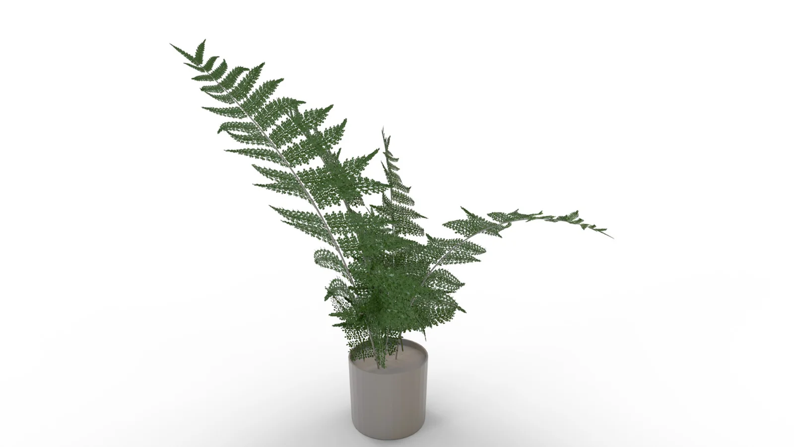 Faux Plants Image 6