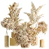 AV Indoor Plants Set 461 Yucca Elephantipe and Cat Reed Palm and Bird Of Paradise and Schefflera Arboricola - Thumbnail 8