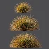 AV Carex Testacea Orange Sedge Grass Prairie Fire and Molinia Caerulea Heidebraut Kleines Pfeifengras - Thumbnail 6