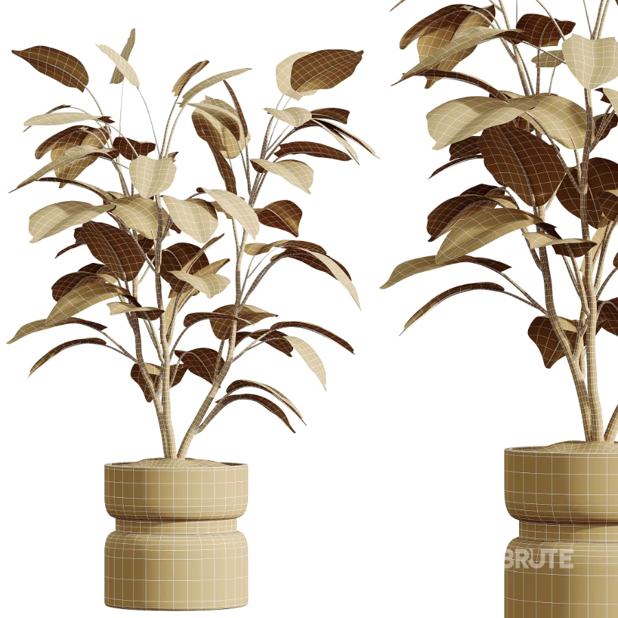 AV Indoor Plants Set 463 Ficus lyrata and Cyara Areca Palm and Aspidistra Elatio and Ficus Dracaena Marginata Image 8