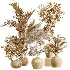 AV Indoor Plants Set 452 Dracaena Lemon Cane and Chemlali Olive and Briful Pachira and Areca Cat Reed Palm - Thumbnail 7