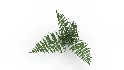 Faux Plants - Thumbnail 7