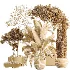 AV Indoor Plants Set 468 Cactus Echinocactus and Chemlali Olive and Ravenala Banana and Ficus Dracaena Marginata - Thumbnail 6