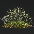 AV Stipa arundinacea Anemanthele lessoniana and Stipa arundinacea Sweet Grass - Thumbnail 7