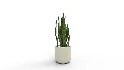 Artificial Snake Plant Plantin Planter - Thumbnail 6