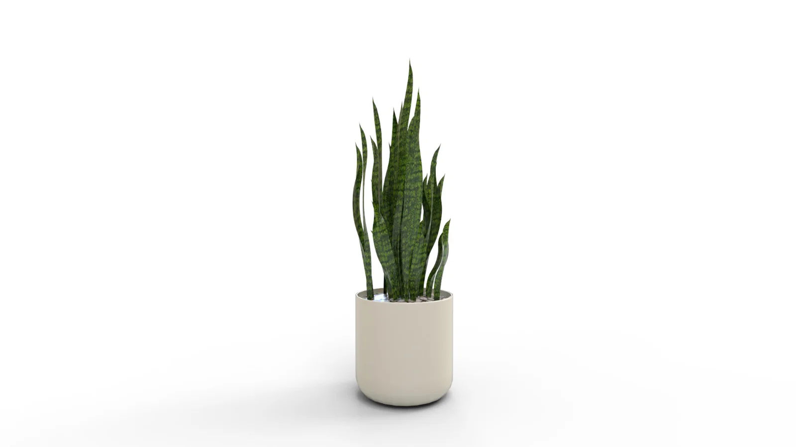 Artificial Snake Plant Plantin Planter Image 6