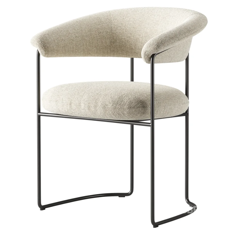 Elyne Dining Chair 01 Image 2