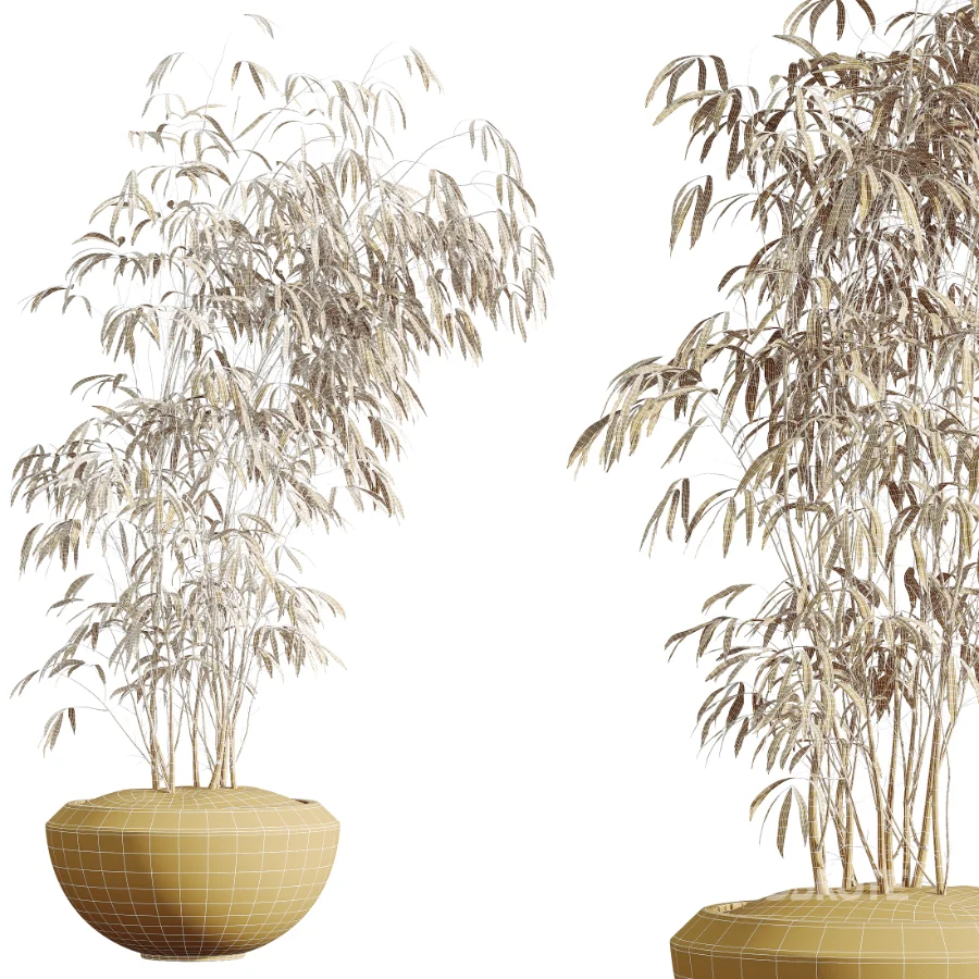 AV Indoor Plants Set 453 Briful Pachira and Elegant Monstera and Aloe Vera Succulents and Ficus Dracaena Marginata Image 10