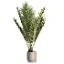 AV Indoor Plants Set 463 Ficus lyrata and Cyara Areca Palm and Aspidistra Elatio and Ficus Dracaena Marginata - Thumbnail 4