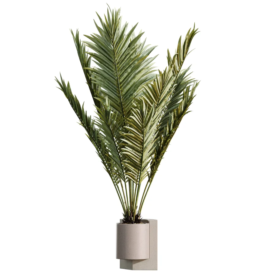 AV Indoor Plants Set 463 Ficus lyrata and Cyara Areca Palm and Aspidistra Elatio and Ficus Dracaena Marginata Image 4