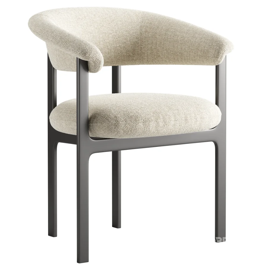 Elyne Dining Chair 02 Image 2