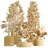AV Indoor Plants Set 469 Yucca Elephantipe and Briful Pachira and Licuala Grandis Palm and Cyara Areca Palm - Thumbnail 8