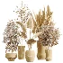 AV Indoor Plants Set 457 Olive Eucalyptus and Bird Of Paradise and Chemlali Olive and Snake Sansevieria - Thumbnail 9