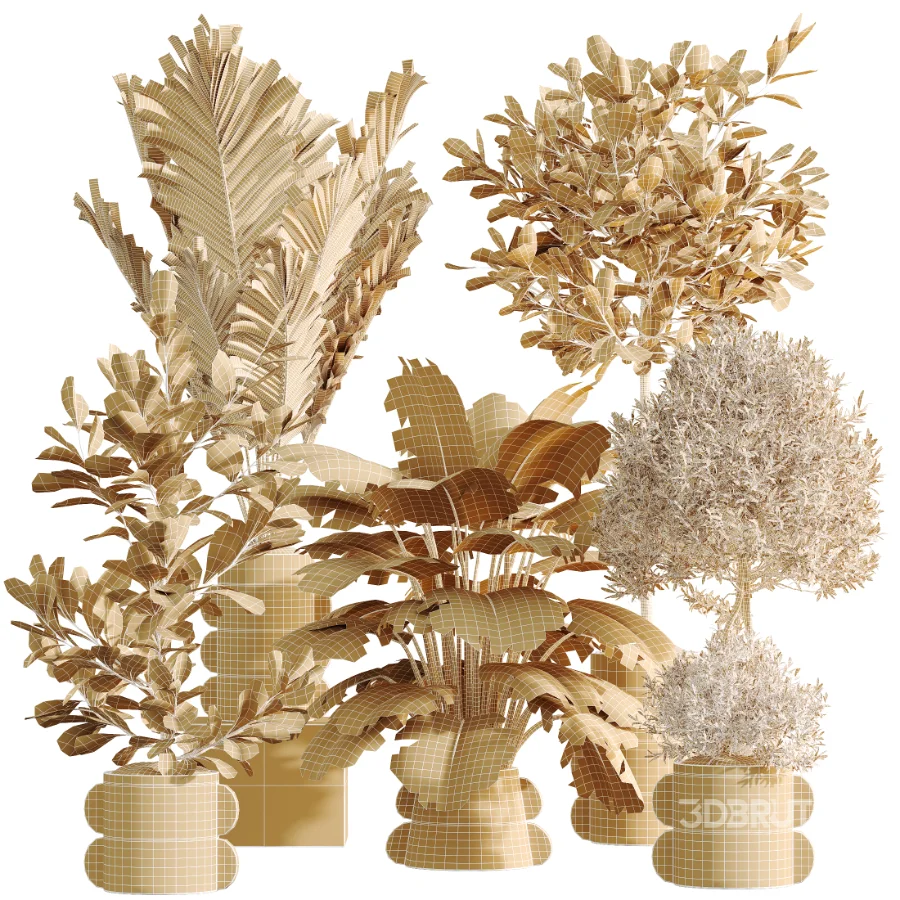 AV Indoor Plants Set 479 Olive Elegant Monstera Ficus Palm Image 10
