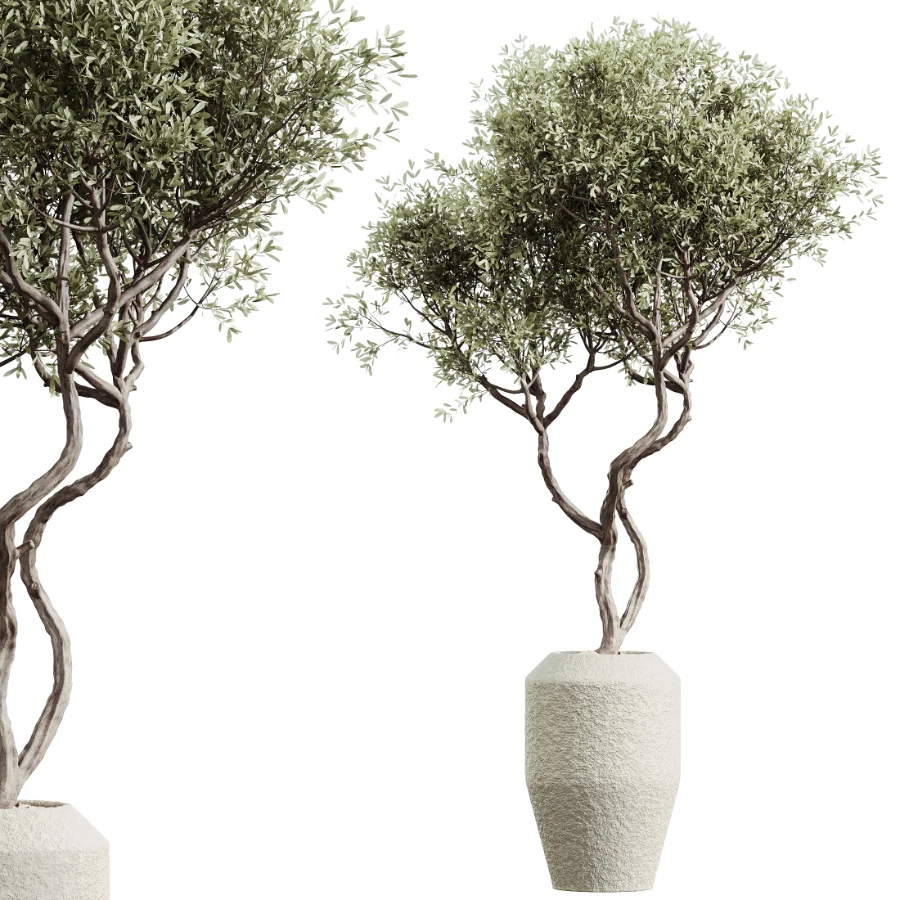 AV Indoor Plants Set 480 Olive Palm ParadiseBird Yucca Image 1