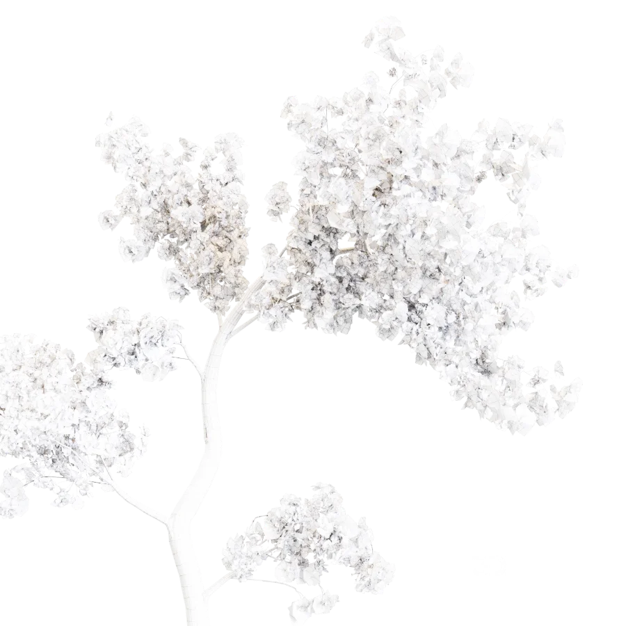 Sakura Breeze Image 7