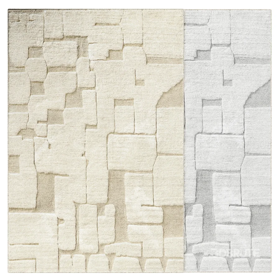 Carpet Image 3