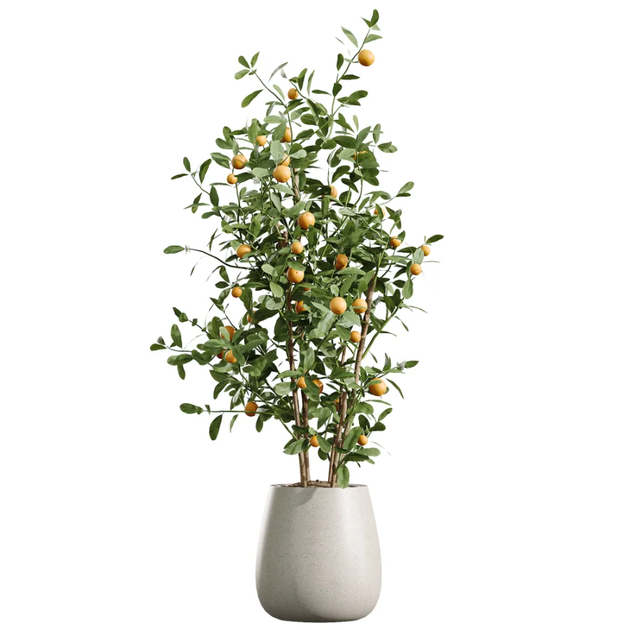AV Indoor Plants Set 490 Yucca Olive Artificial Rhapis Orange Palm Image 3