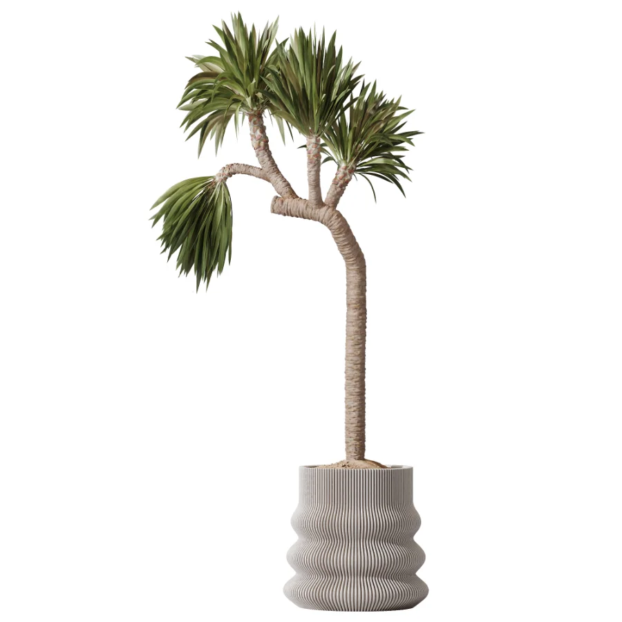 ntal plant species to create a balanced composition suitable for modern interiors, outdoor environments, and high-end architectural scenes. Image 2
