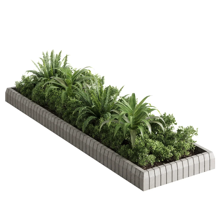 Outdoor Plant 49 Image 1