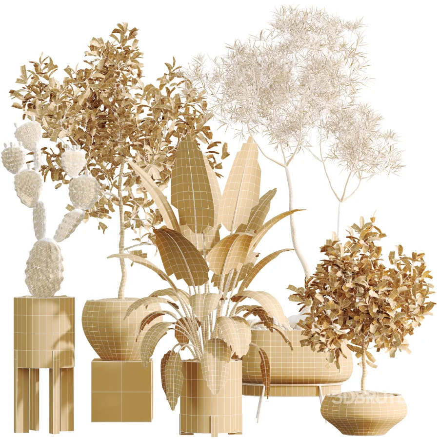 AV Indoor Plants Set 524 Pachira Ficus Dracaena Cactus Image 11