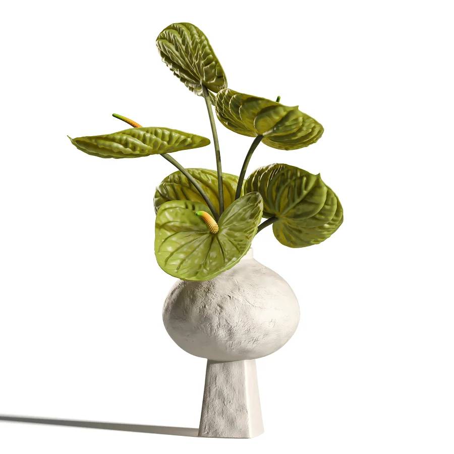 Burgundy and Olive Anthurium 61 Image 2