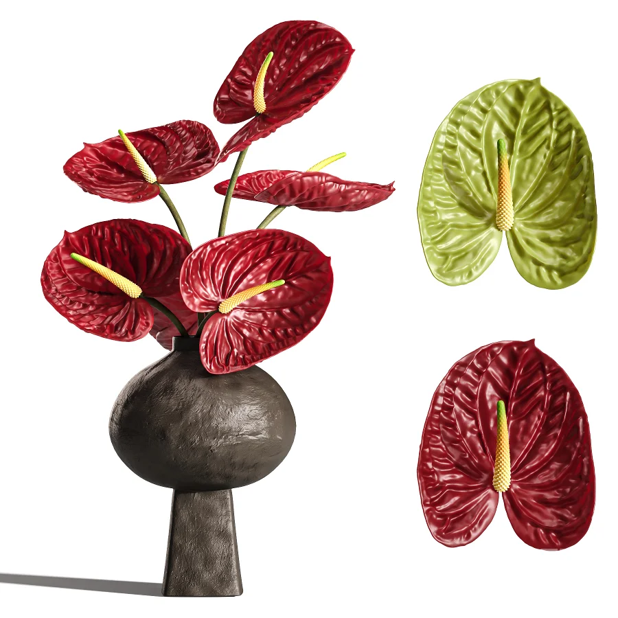 Burgundy and Olive Anthurium 61 Image 1