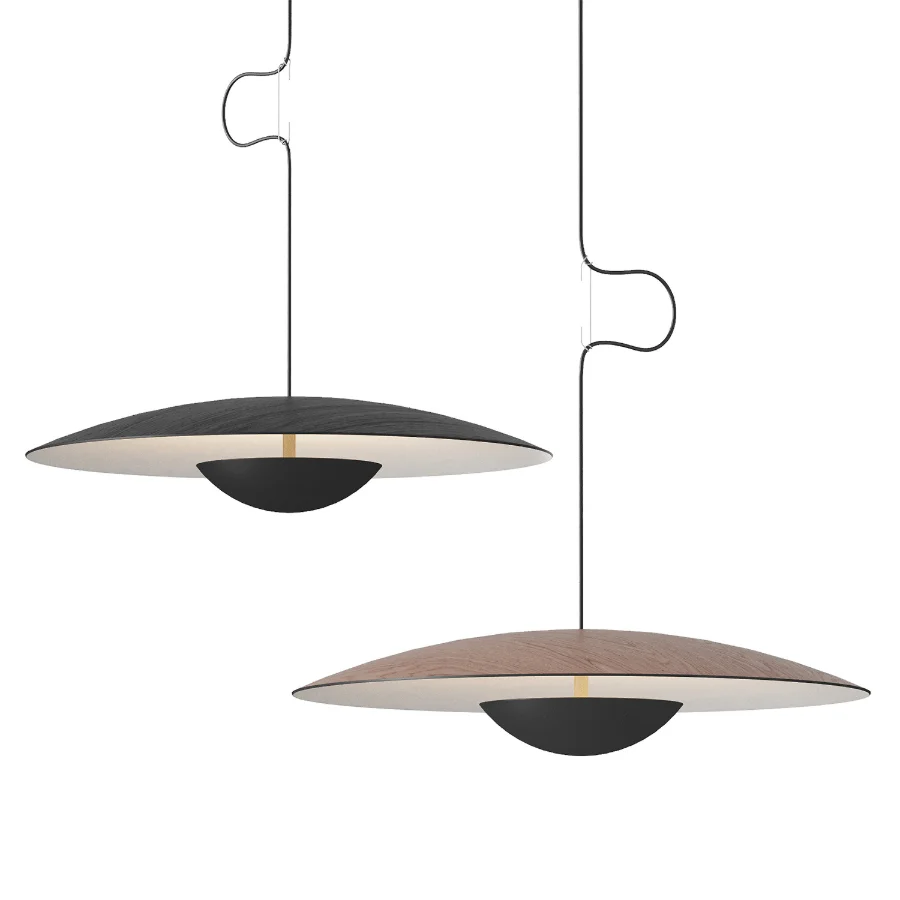 Ginger Pendant light Image 1