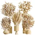 AV Indoor Plants Set 481 Palm Pachira Sansevieria Ficus Olive - Thumbnail 7