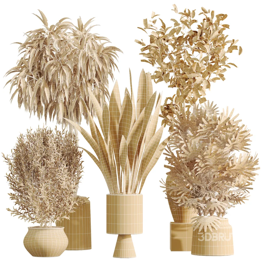 AV Indoor Plants Set 481 Palm Pachira Sansevieria Ficus Olive Image 7