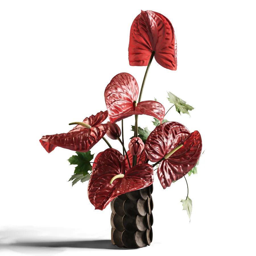 Burgundy Anthurium Arrangement 60 Image 3