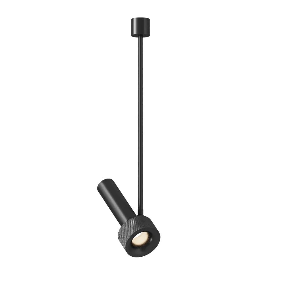 Aromas Del Campo Focus 02 Pendant Lamp Image 4