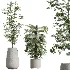 ntal greenery, making it an excellent choice for luxury interiors, hospitality spaces, commercial environments, and architectural landscape scenes. - Thumbnail 5