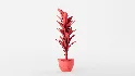Banana Leaf Tree in Planter - Thumbnail 3