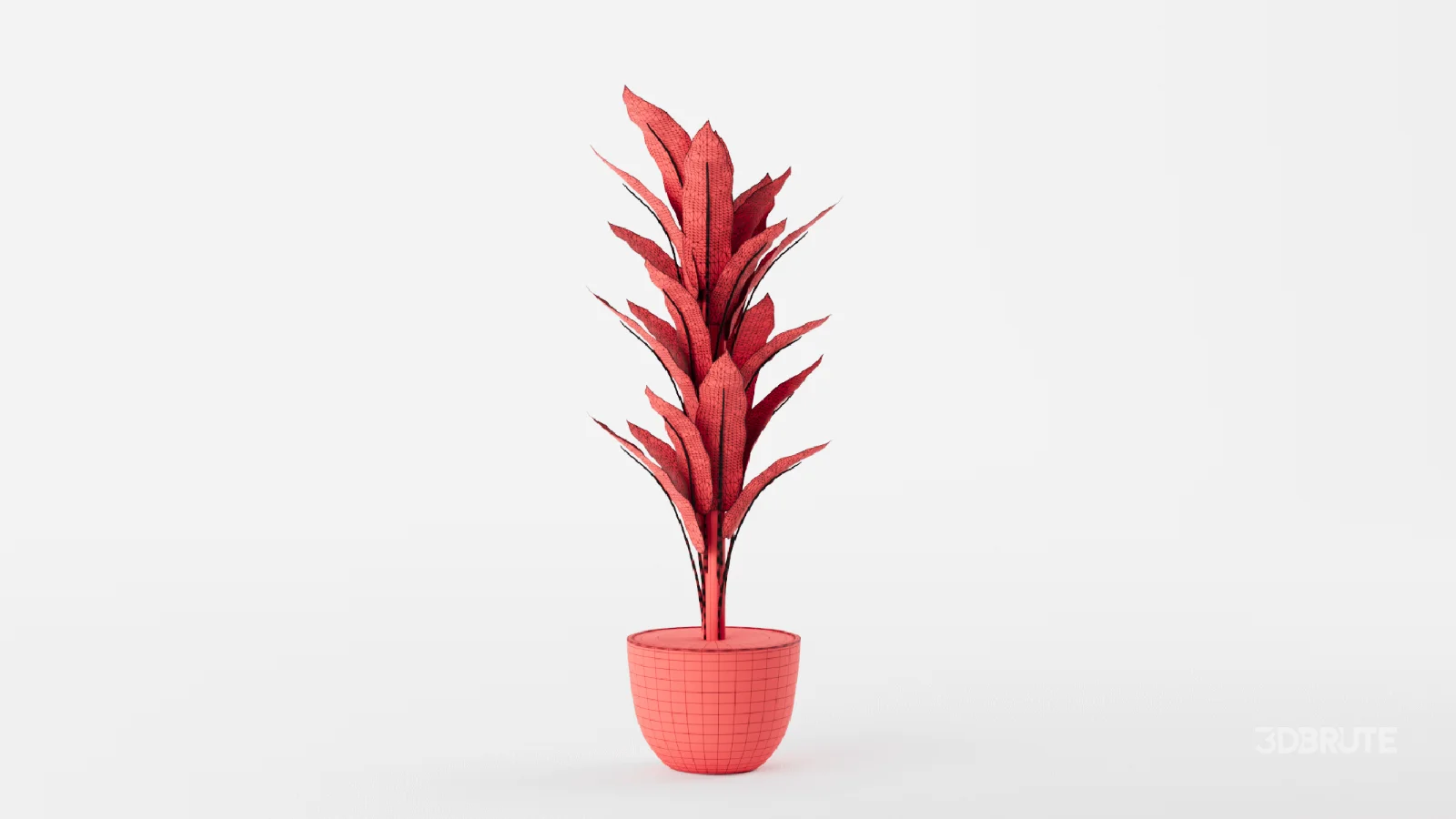Banana Leaf Tree in Planter Image 3