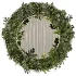 Indoor_plants_with_circle_mirror - Thumbnail 1