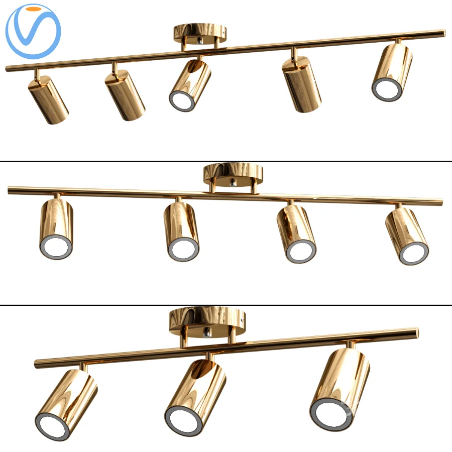 Ceiling Light Image 1