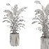 indoor-plant-002 - Thumbnail 3
