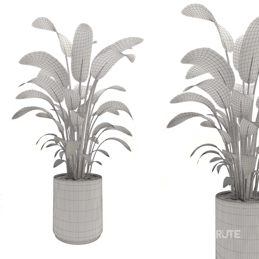indoor-plant-002 Image 3