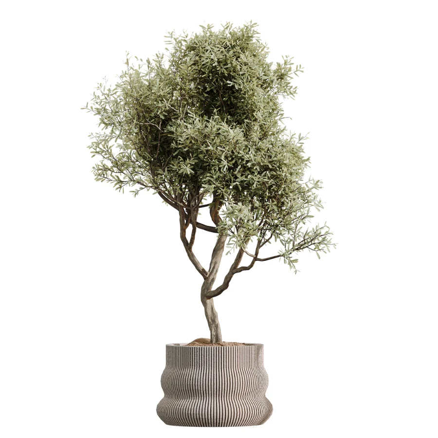 ntal plant species to create a balanced composition suitable for modern interiors, outdoor environments, and high-end architectural scenes. Image 4