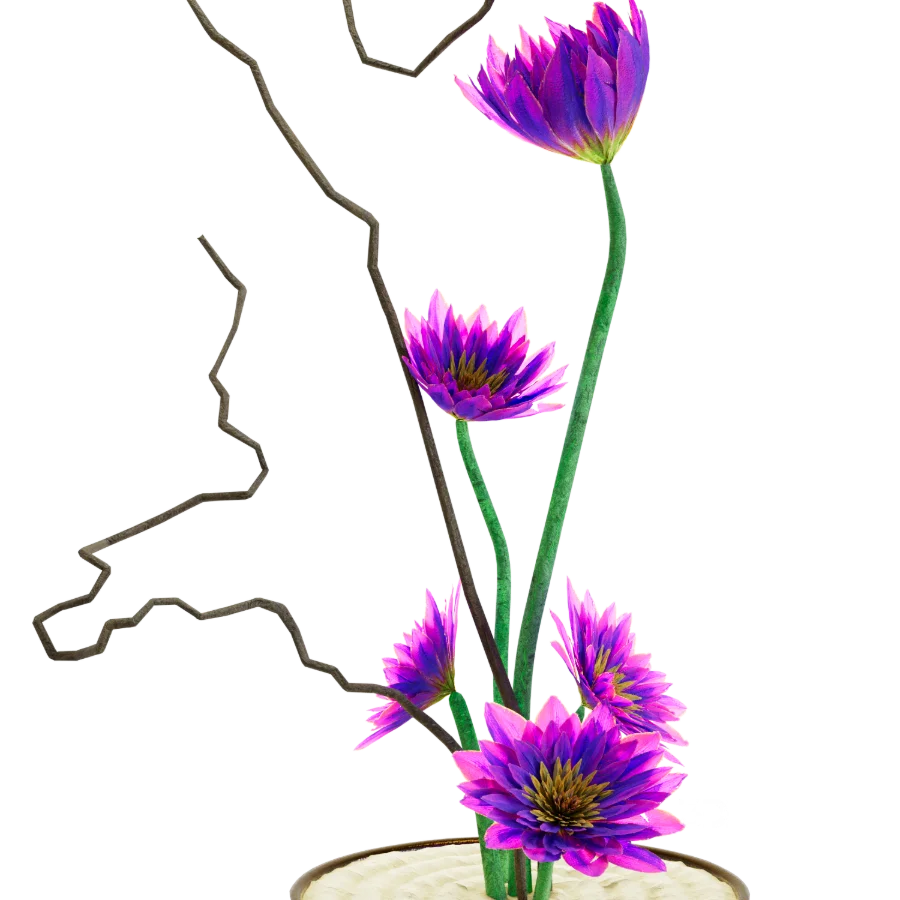 Silent Bloom Arc Image 2