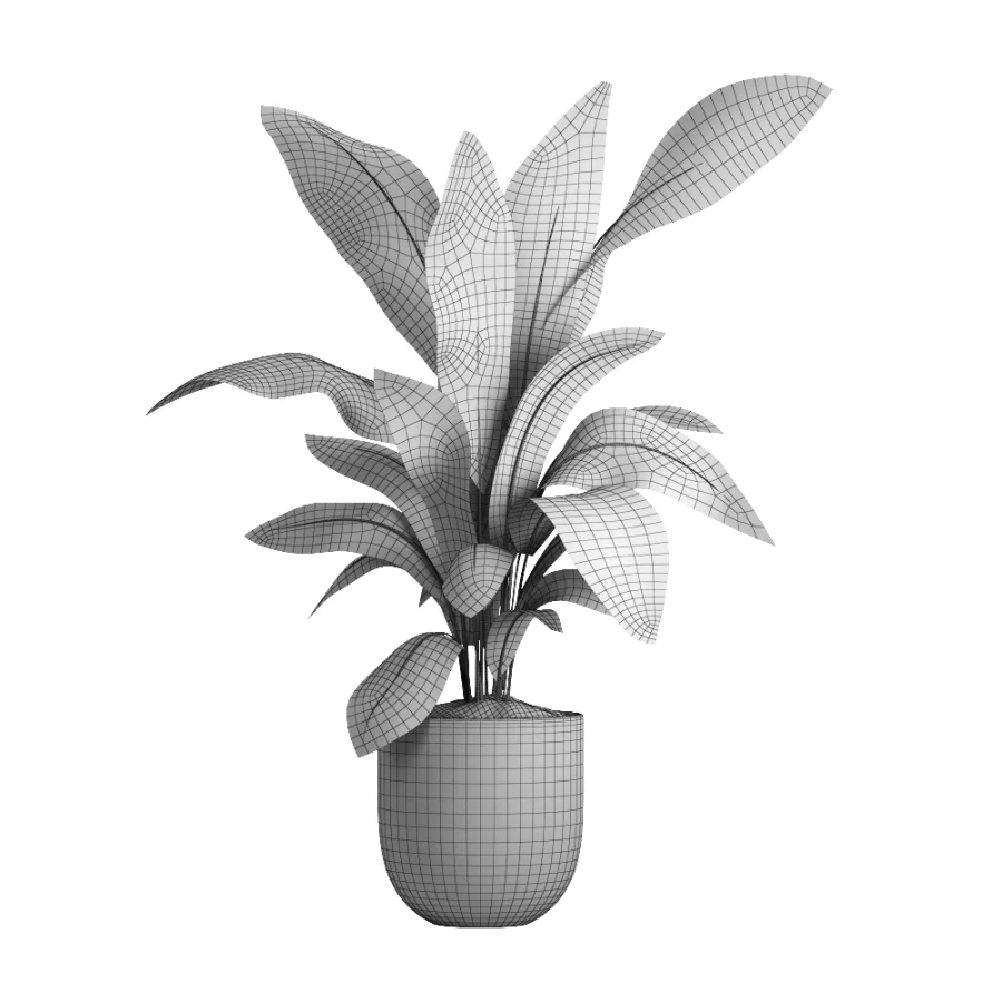 indoor plant 050 Image 4