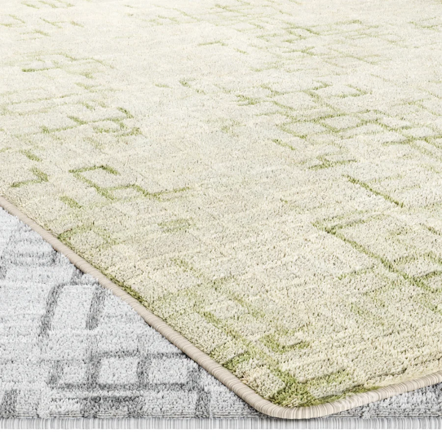 Carpet Image 5