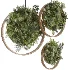 Indoor_plants_circle_panels - Thumbnail 2