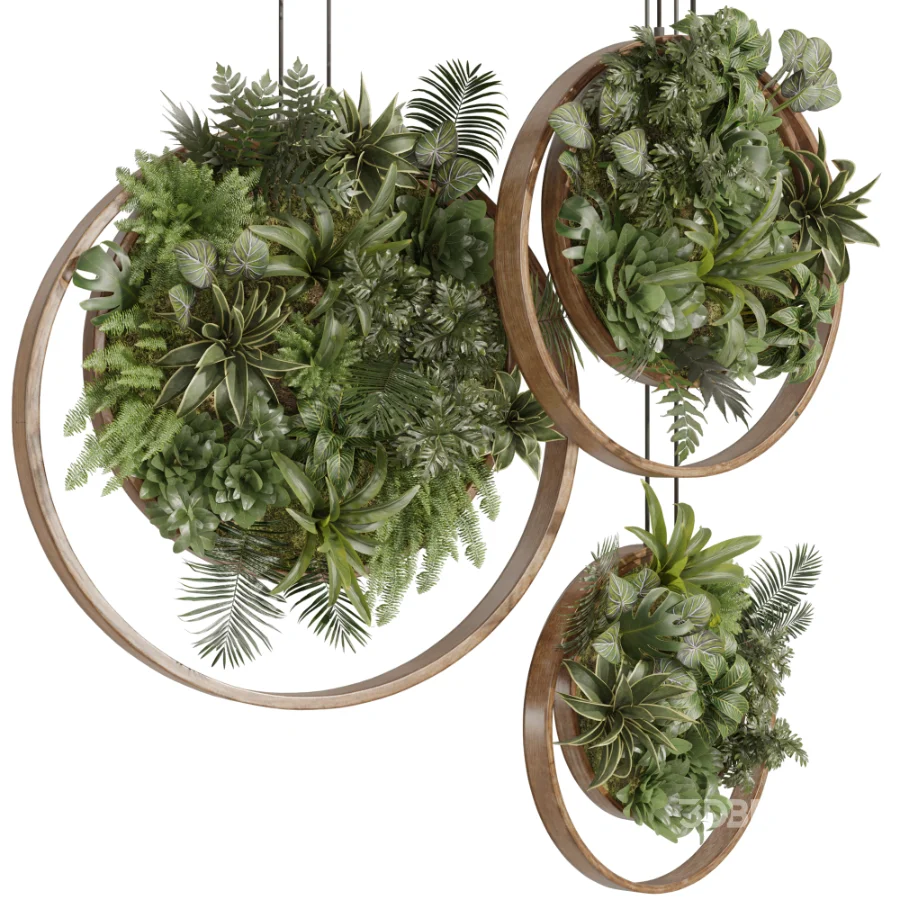 Indoor_plants_circle_panels Image 2