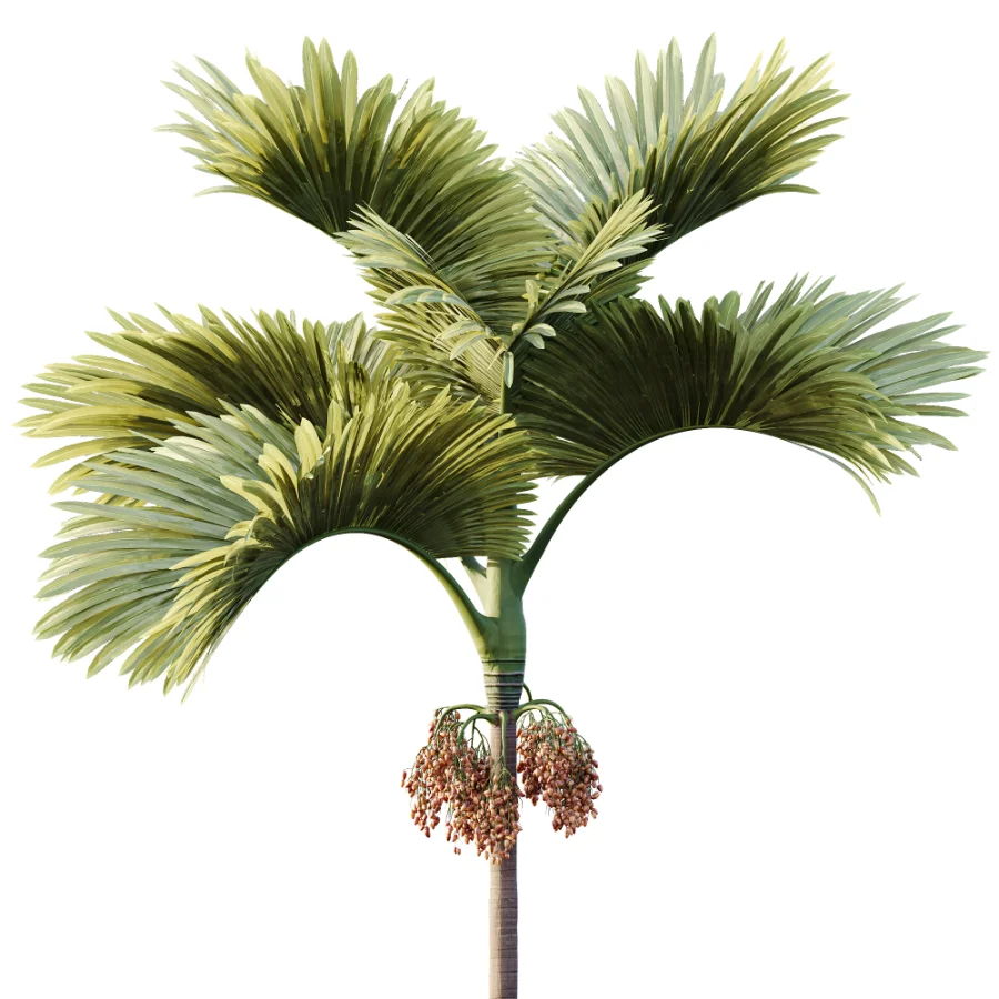 ntal fruits. Image 1