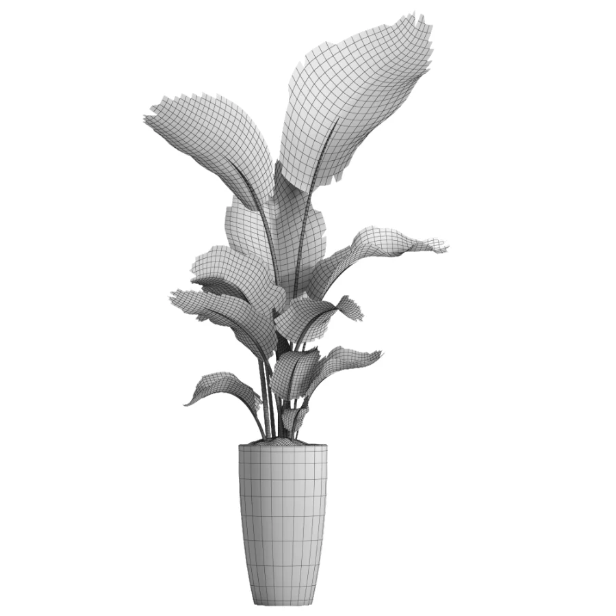 indoor plant 081 Image 1